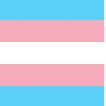 Pink, white and light blue striped flag, the trans flag