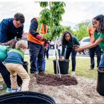 Young people planting trees