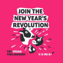 Cows and words Join the New Year's Revolution