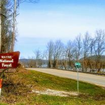Road leading into forest with sign saying Wayne National Forest