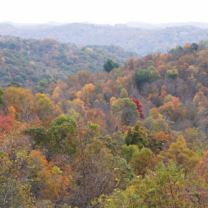 Hills and trees with leaves turning fall colors