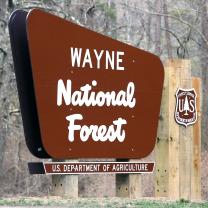 Brown sign on pole in woods saying Wayne National Forest