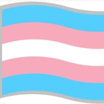 Transgender flag