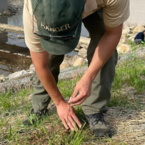 Man planting tree