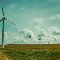windmills out in a field