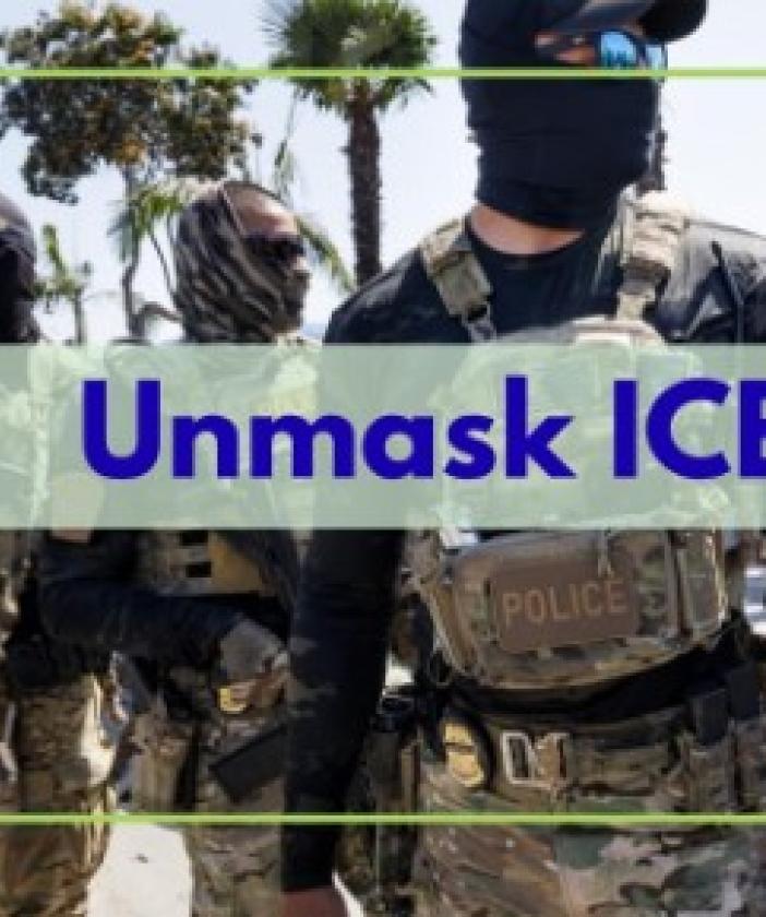 Masked ICE agents