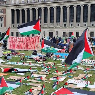 Palestinian flag and other signs on the lawn