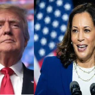 Trump and Harris