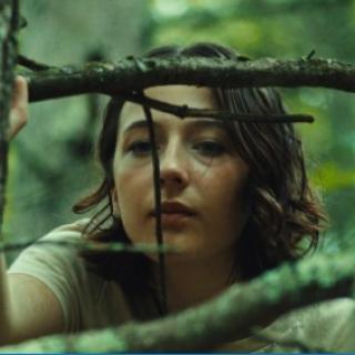 Woman peering through branches of tree