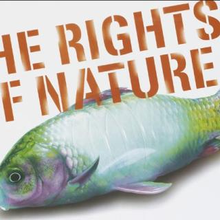 The Rights of Nature with a fish