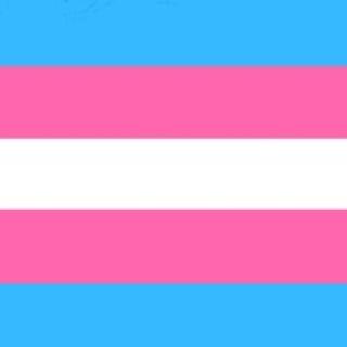 Trans flag