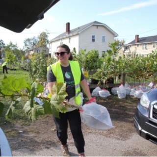 Woman putting tree in car trunk