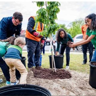 Young people planting trees