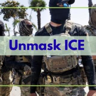 Masked ICE agents