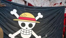 Straw Hat flag
