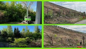 Photos of trees land and then without trees