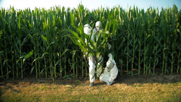 Facts you should know about GMOs | ColumbusFreePress.com